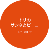 トリのサンタとピーコ