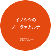 イノシシ「ルナ」・「ノバ」DETAIL→