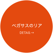 ペガサスのリア